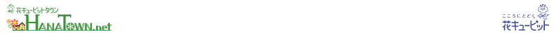bg_header_logos.gif