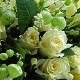 tmpimg1005201822n220100528104138581.jpg