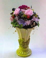 CIMG0935.JPG