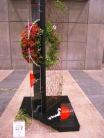 CIMG1114.JPG