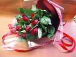 CIMG0978.JPG